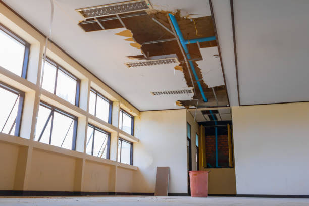 Best Basement water damage restoration  in Irvine, KY
