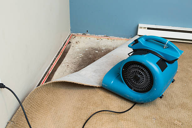 Best Emergency water damage restoration  in Irvine, KY